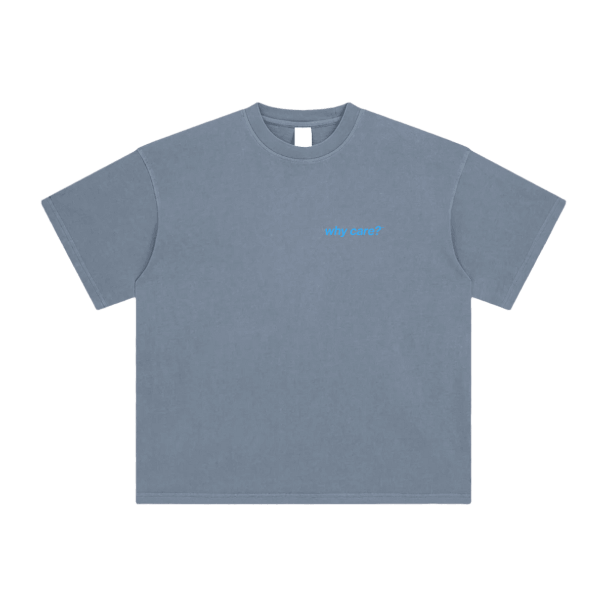 Why Care? graphic tee in Gray Blue, front view